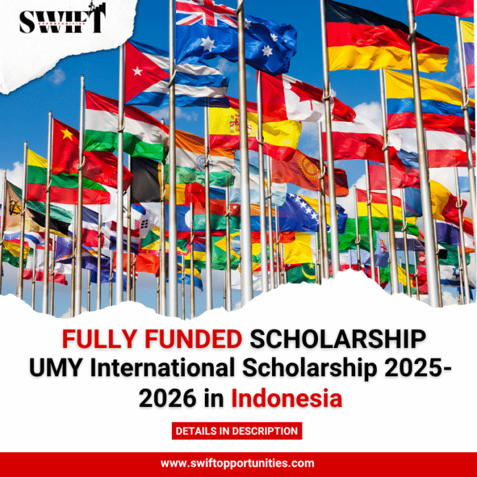 UMY International Scholarship
