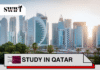Qatar University Undergraduate Scholarship 2026 (Fully Funded) Qatar University Undergraduate Scholarship