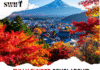 AYFN Japan WINTER Culture Camp 2026 (Fully Funded) AYFN Japan WINTER Culture